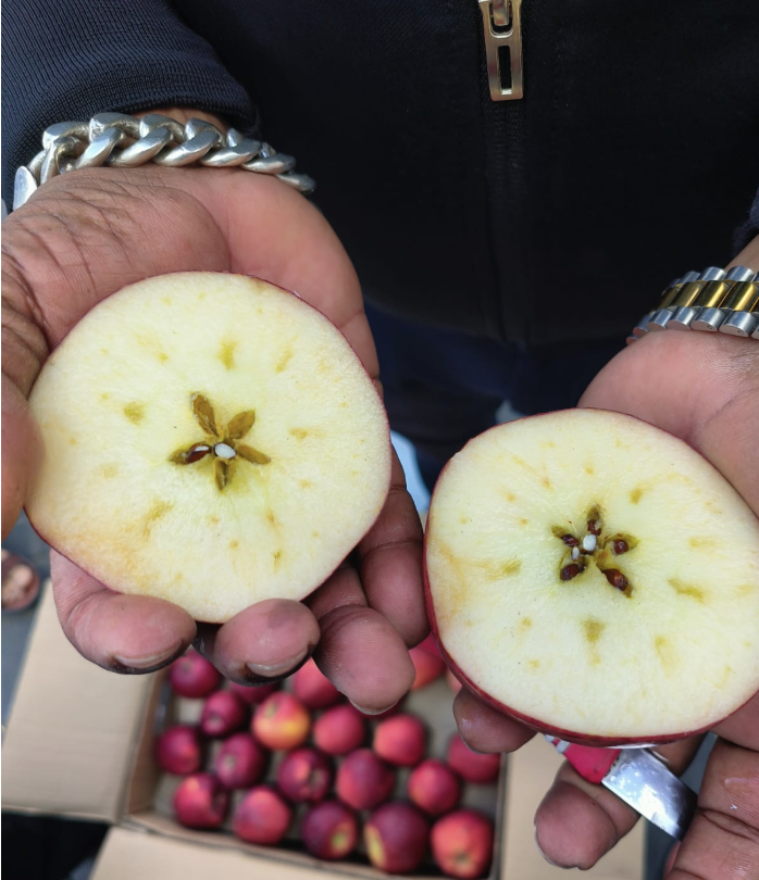 Our First Imported Apple Shipment from Italy Has Arrived!